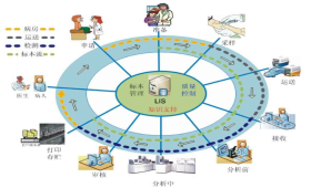 his系統,醫療系統開發