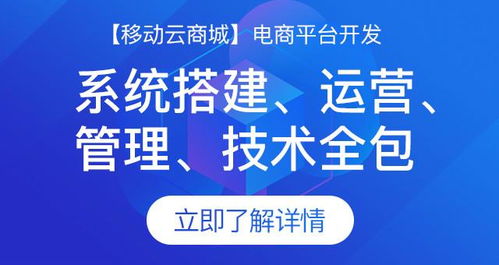 開發網上購物商城系統有哪幾種方式